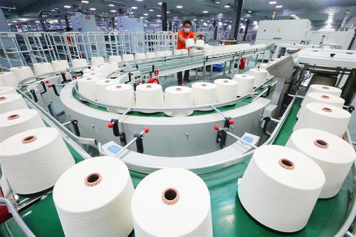 棉紡企業產銷兩旺，針織品行業迎來新局